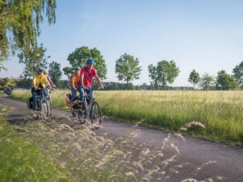 Grenzgängerroute Familie radelt auf einem asphaltierten Weg durch grüne Wiesen und Bäume bei klarem Himmel.