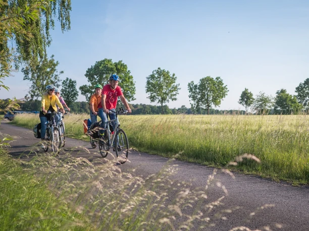 Grenzgängerroute Familie radelt auf einem asphaltierten Weg durch grüne Wiesen und Bäume bei klarem Himmel.