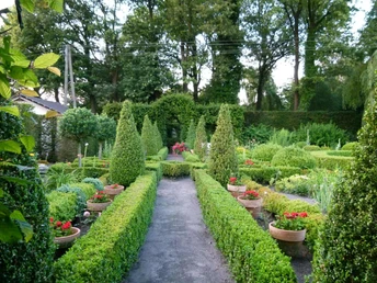 Heckentheater in Lienen Wege umgeben von Buchsbaumhecken führen durch das Heckentheater in Lienen, gesäumt von Blumen.