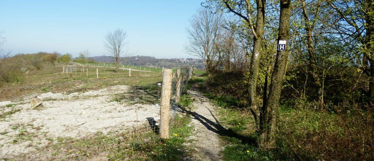 Aussicht vom Kleeberg zur Hochfläche
