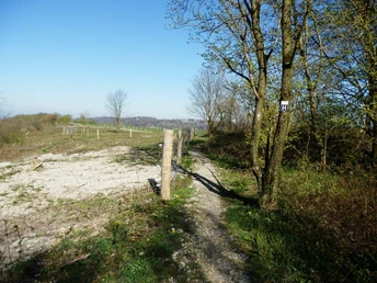 Aussicht vom Kleeberg zur Hochfläche