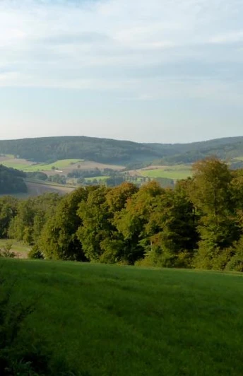 Weserhoehen_Blick_ins_Nethetal_oberhalb_Bruchhausen Weitläufige Ansicht über bewaldete Hügel und grüne Wiesen mit sanftem Sonnenlicht im Nethetal.