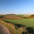 Weserhöhen_die _Bosseborner_Höhen_voraus Eine sanfte Hügellandschaft mit Feldern und Windrädern im Hintergrund unter klarem blauem Himmel.
