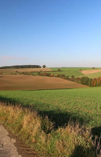 Weserhöhen_die _Bosseborner_Höhen_voraus Eine sanfte Hügellandschaft mit Feldern und Windrädern im Hintergrund unter klarem blauem Himmel.