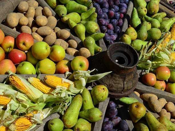 Regionale Leckereien Eine reiche Auswahl an frischen Äpfeln, Birnen, Mais, Kartoffeln und Pflaumen auf einem Holzwagen.
