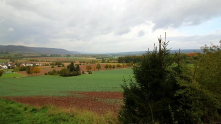 Blick über Amelunxen ins Wesertal Weitblick über grüne Felder und Wälder des Wesertals, mit einem Dorf am linken Bildrand unter wolkigem Himmel.