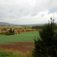 Blick über Amelunxen ins Wesertal Weitblick über grüne Felder und Wälder des Wesertals, mit einem Dorf am linken Bildrand unter wolkigem Himmel.