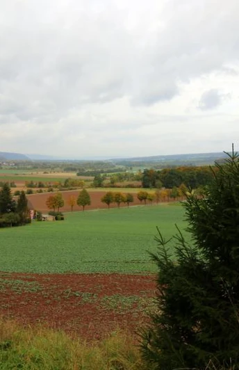 Blick über Amelunxen ins Wesertal Weitblick über grüne Felder und Wälder des Wesertals, mit einem Dorf am linken Bildrand unter wolkigem Himmel.