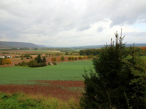 Blick über Amelunxen ins Wesertal Weitblick über grüne Felder und Wälder des Wesertals, mit einem Dorf am linken Bildrand unter wolkigem Himmel.