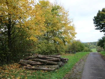 Rastplatz und Aussichtspunkt am Osterberg Rastplatz am Osterberg mit Holzstapel, herbstlichen Bäumen und einer ruhigen, malerischen Wegkulisse.