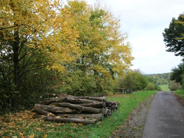 Rastplatz und Aussichtspunkt am Osterberg Rastplatz am Osterberg mit Holzstapel, herbstlichen Bäumen und einer ruhigen, malerischen Wegkulisse.