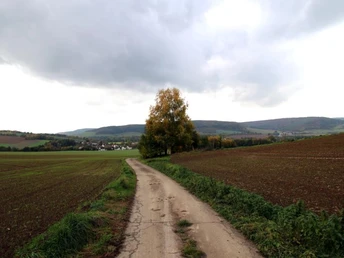 Immental vor Amelunxen Ein schmaler Feldweg schlängelt sich durch die weite, grüne Landschaft, umgeben von sanften Hügeln.