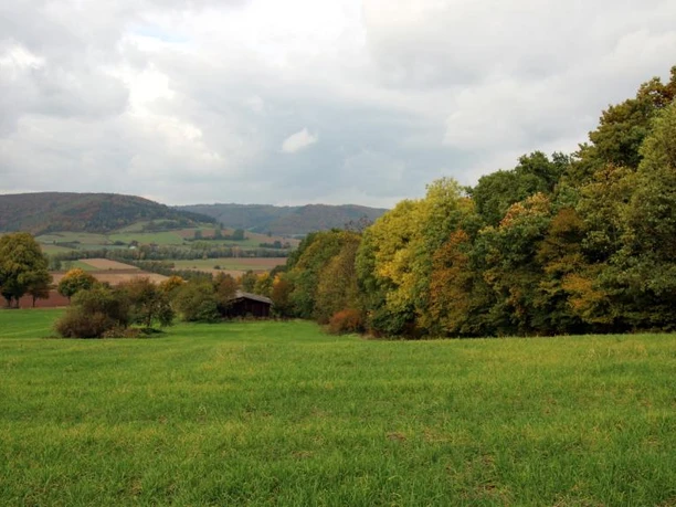 Blick ins Nethetal vor Amelunxen Grüne Wiesen im Vordergrund, ein Wald rechts und im Hintergrund sanfte Hügel unter bewölktem Himmel.