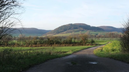 Panoramablick über grüne Felder und sanfte Hügel, festgehalten von der Gummibahn im Nethetal.