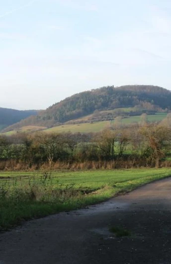 Blick von der Gummibahn ins Tal der Nethe Panoramablick über grüne Felder und sanfte Hügel, festgehalten von der Gummibahn im Nethetal.