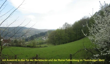 Tal der Berlebecke mit Ruine Falkenburg inmitten der weiten Wälder des Teutoburger Waldes Ruine Falkenburg thront über grüner Wiese und dichten Wäldern im Tal der Berlebecke, Teutoburger Wald.