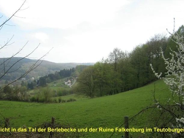 Tal der Berlebecke mit Ruine Falkenburg inmitten der weiten Wälder des Teutoburger Waldes Ruine Falkenburg thront über grüner Wiese und dichten Wäldern im Tal der Berlebecke, Teutoburger Wald.
