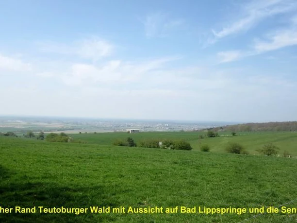 Westseite Teutoburger Wald Blick über eine sanfte Hügellandschaft des Teutoburger Waldes, weitläufige Felder und Waldgebiet.