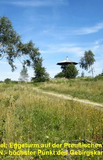 Holzplattform Eggeturm auf Preußischer Velmerstot zwischen grünem Gras und vereinzelten Birken.
