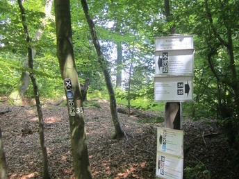 historischer Passübergang Kleiner Riggi Waldweg mit Wegweisern im lichten Wald, Hinweis auf historischen römischen Passübergang Kleiner Riggi.