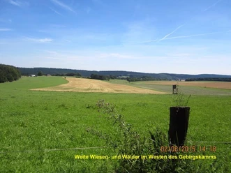 Hochtal von F/Veldrom mit Eggekamm Weite Wiesen mit grünen und gelben Feldern, im Hintergrund dicht bewaldete Hügel und blauer Himmel.