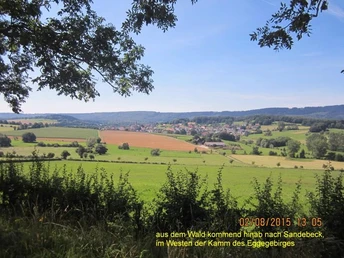 Blick über sanfte Hügel und grüne Felder Richtung Sandebeck, mit dem Eggekamm im Hintergrund.