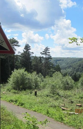Steiler 20%-Weg im Teutoburger Wald, umgeben von dichtem Grün und bewaldeten Hügeln unter blauem Himmel.