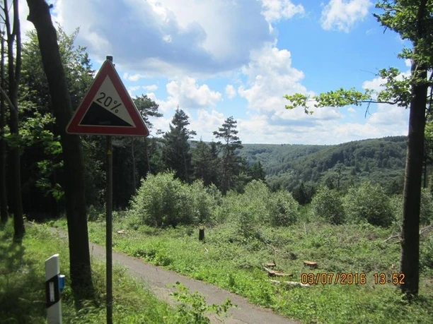 Im wilden Auf und Ab durch die Wälder des Teutoburger Waldes Steiler 20%-Weg im Teutoburger Wald, umgeben von dichtem Grün und bewaldeten Hügeln unter blauem Himmel.
