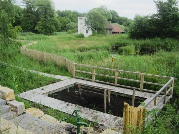 Moortretanlage im Naptetal, Heilmoorabbaugebiet von Bad Meinberg Holzsteg führt über eine von Pflanzen umgebene Moortretanlage im Naptetal, im Hintergrund ein Haus.