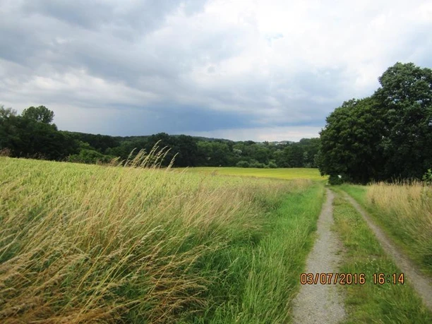 auf kleinen Wegen durch das Naptetal und hinauf nach Bad Meinberg Grüner Wanderweg führt durch ein weitläufiges Tal mit Wiesen und Bäumen unter bewölktem Himmel.