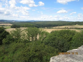 Nordlippische Hügel vom Eilenbergturm Blick vom Eilenbergturm über dichte Wälder und sanfte Hügel unter einem teils bewölkten Himmel.