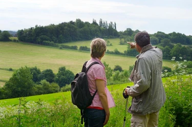 Wanderer Zwei Personen stehen auf einem Hügel und blicken auf eine weitläufige grüne Landschaft.