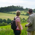 Wanderer Zwei Personen stehen auf einem Hügel und blicken auf eine weitläufige grüne Landschaft.