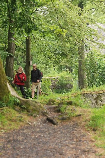Wanderer Zwei Wanderer spazieren auf einem Waldweg, umgeben von grünen Bäumen und sanfter Natur.
