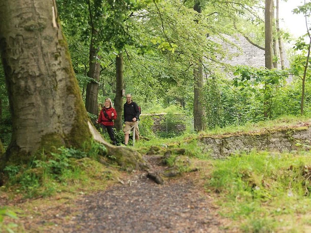 Wanderer Zwei Wanderer spazieren auf einem Waldweg, umgeben von grünen Bäumen und sanfter Natur.