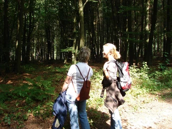 Im Dunetal Zwei Frauen wandern bei Sonnenschein durch einen lichtdurchfluteten, dichten Wald.