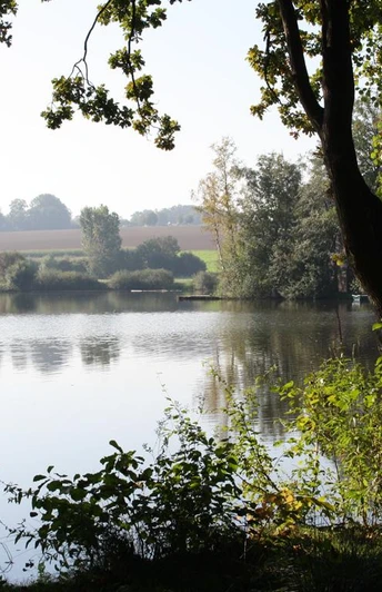 Blick auf den ruhigen Hücker Moorsee, umgeben von Bäumen und strahlendem Himmel im Hintergrund.