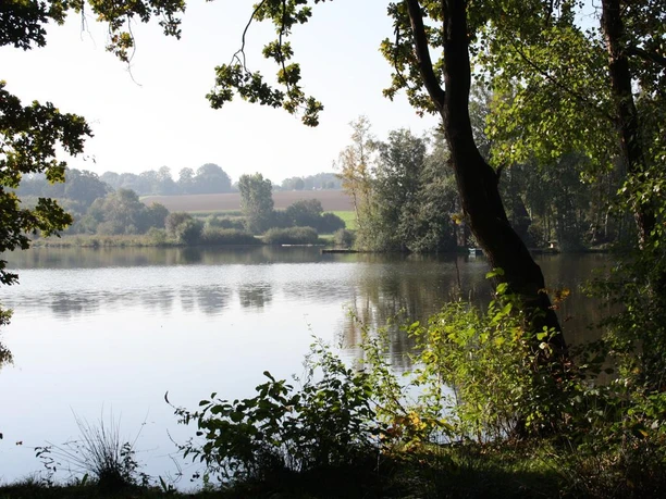 Hücker Moorsee Blick auf den ruhigen Hücker Moorsee, umgeben von Bäumen und strahlendem Himmel im Hintergrund.