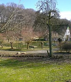 Historische Wassermühle im Grünen mit Fachwerkgebäuden, Teich und umliegenden Bäumen.