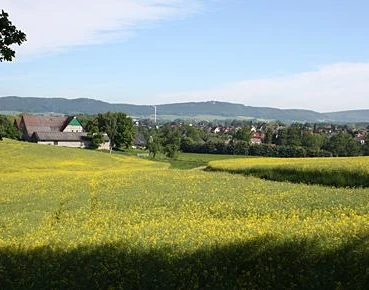 Blick auf Klosterbauerschaft und das Wiehengebirge Blick über eine weitläufige Wiese mit gelben Blüten, im Hintergrund das Wiehengebirge.