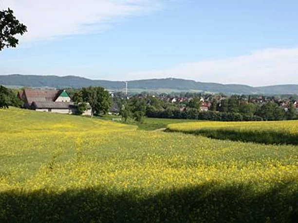 Blick auf Klosterbauerschaft und das Wiehengebirge Blick über eine weitläufige Wiese mit gelben Blüten, im Hintergrund das Wiehengebirge.