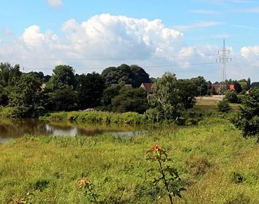 Grüne Wiese mit kleinem Teich, umgeben von Bäumen und Büschen, Strommast im Hintergrund.