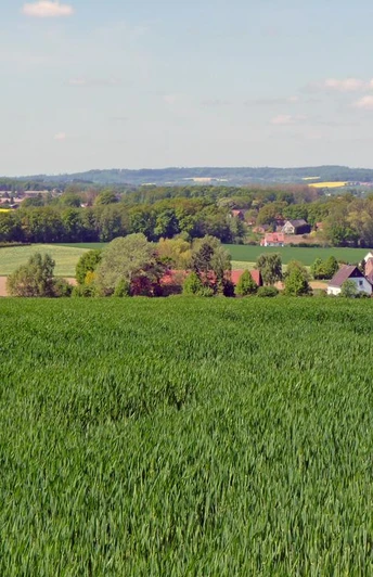 Weites Hügelland mit grünen Feldern, verstreuten Bauernhöfen und dichten Wäldern am Horizont.
