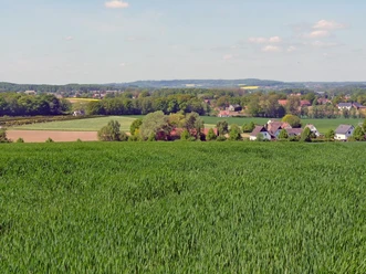 Ravensberger Hügelland Weites Hügelland mit grünen Feldern, verstreuten Bauernhöfen und dichten Wäldern am Horizont.