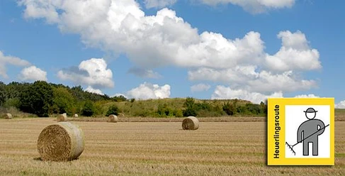 Felder, Hecken und Wälder Rollende Heuballen liegen verstreut auf einem großen Feld, umgeben von dichtem Wald unter blauem Himmel.