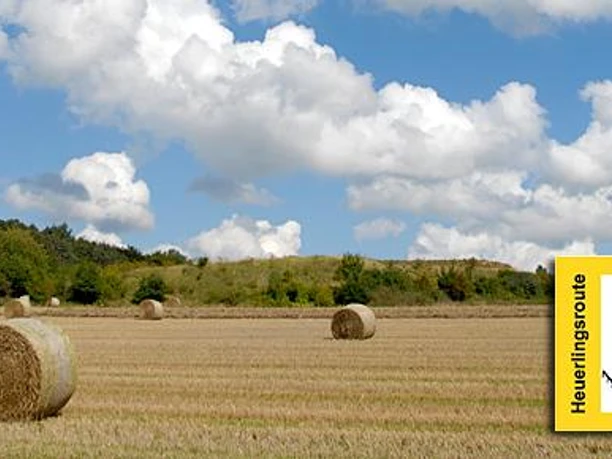Felder, Hecken und Wälder Rollende Heuballen liegen verstreut auf einem großen Feld, umgeben von dichtem Wald unter blauem Himmel.