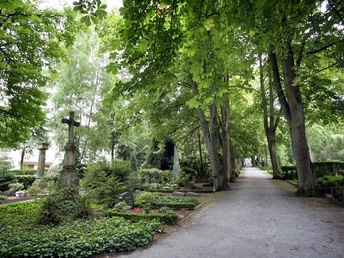 Grüner Friedhof mit alten Grabsteinen und schattigem Baumweg, ruhige Atmosphäre inmitten von Natur.