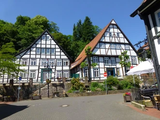 Häuser auf dem Brink Fachwerkhäuser in einer gepflasterten Straße mit üppigem Grün im Hintergrund unter blauem Himmel.