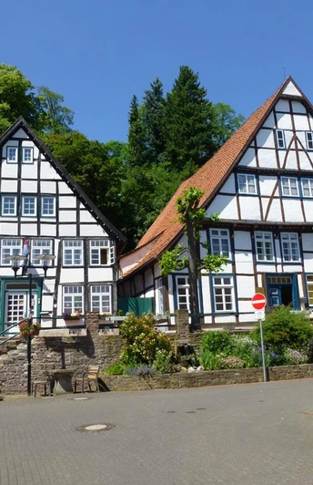 Häuser auf dem Brink Fachwerkhäuser in einer gepflasterten Straße mit üppigem Grün im Hintergrund unter blauem Himmel.