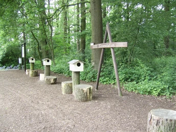 Sinnesstation am Erlebnis- Barfußpfad Sinnesstation mit Holzhäusern auf Baumstümpfen, umgeben von dichtem Laubwald entlang des Pfades.